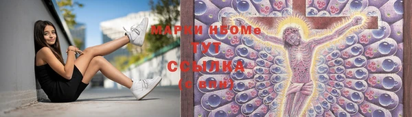 спиды Вяземский