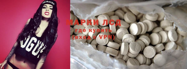 спиды Вяземский