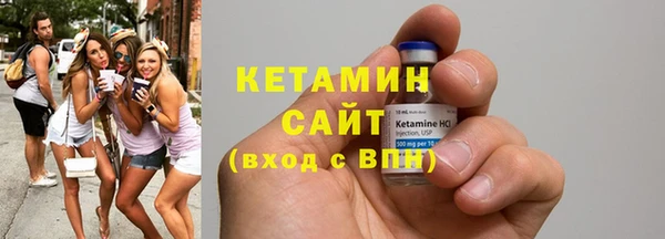 прущие грибы Елабуга