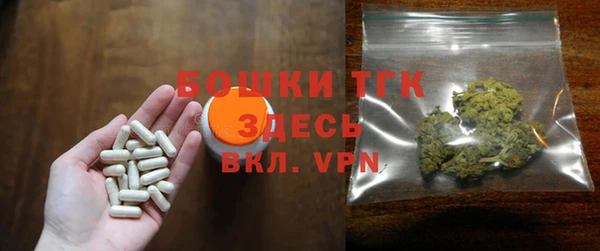спиды Вяземский