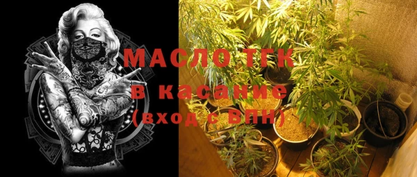 спиды Вяземский