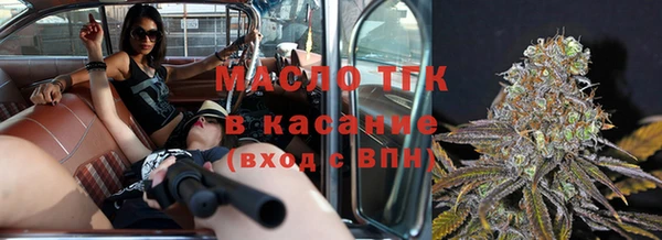 спиды Вяземский