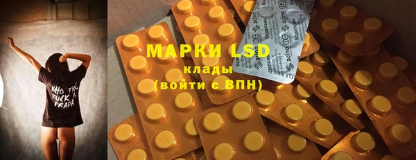 спиды Вяземский