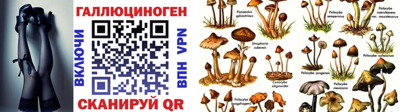 Галлюциногенные грибы мухоморы  Дальнегорск 